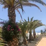 La Tortuga De Fuerteventura