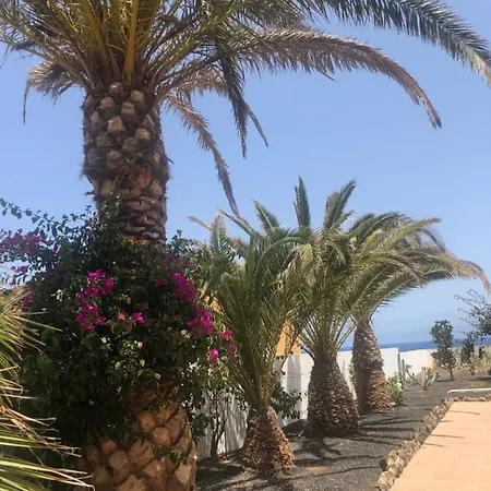 La Tortuga De Fuerteventura