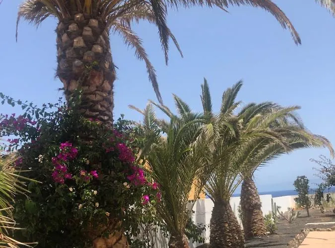 La Tortuga De Fuerteventura