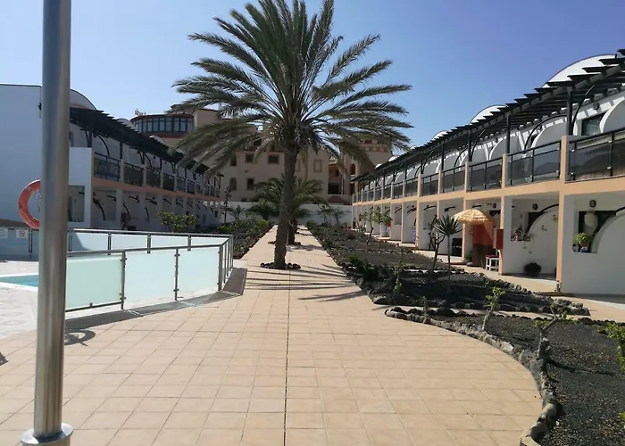 La Tortuga De Fuerteventura Costa De Antigua